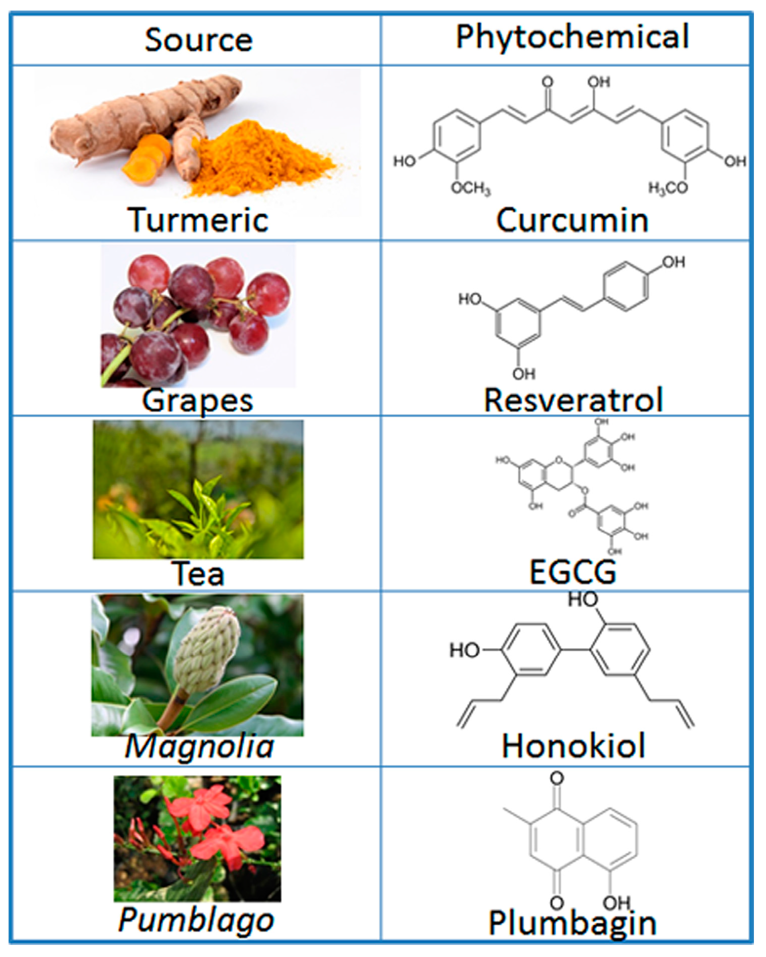 Phytochemicals in Oral Cancer